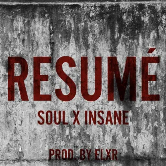 Resumé by Insane