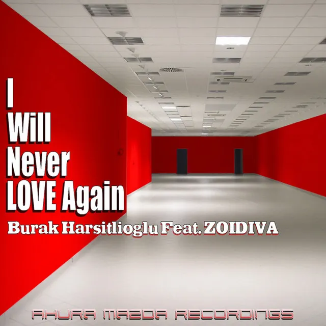 I Will Never Love Again