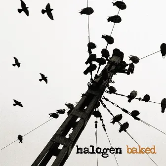 Baked by Halogen