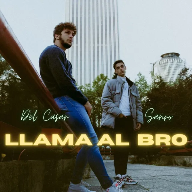 Llama Al Bro