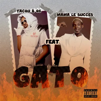 Gato by Yacou B OG