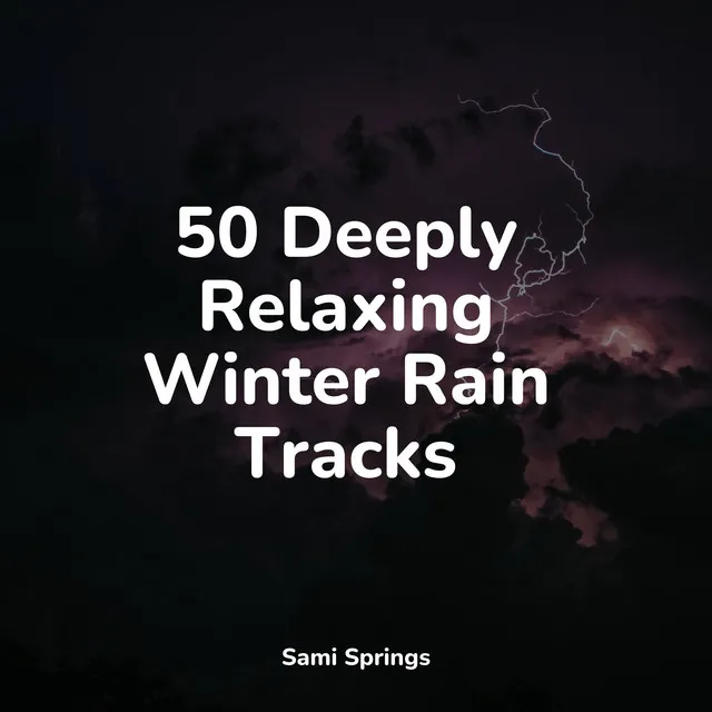 50 Deeply Relaxing Winter Rain Tracks