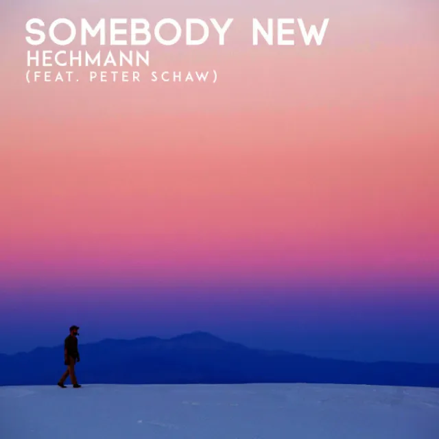 Somebody New (feat. Peter Schaw)