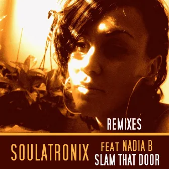 Slam That Door by Soulatronix