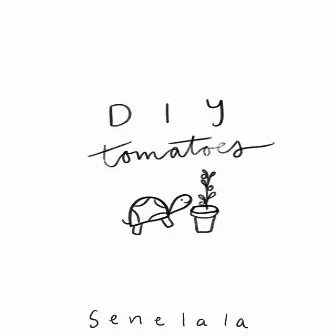 DIY Tomatoes by Senelala