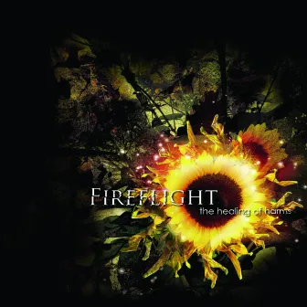 The Healing Of Harms by Fireflight