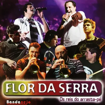 Atende o Celular, Vol. 17 by Flor da Serra