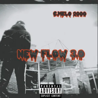 New Flow 3 by C.Melo 2000