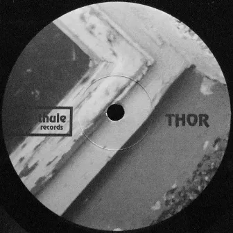 T1 / T2 by Thor