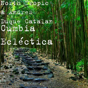 Cumbia Ecléctica by North Tropic