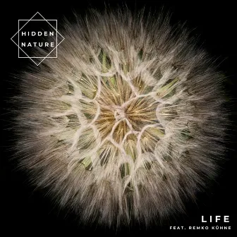 Life by Hidden Nature