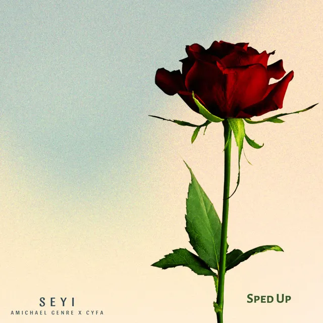 SEYI - Sped up