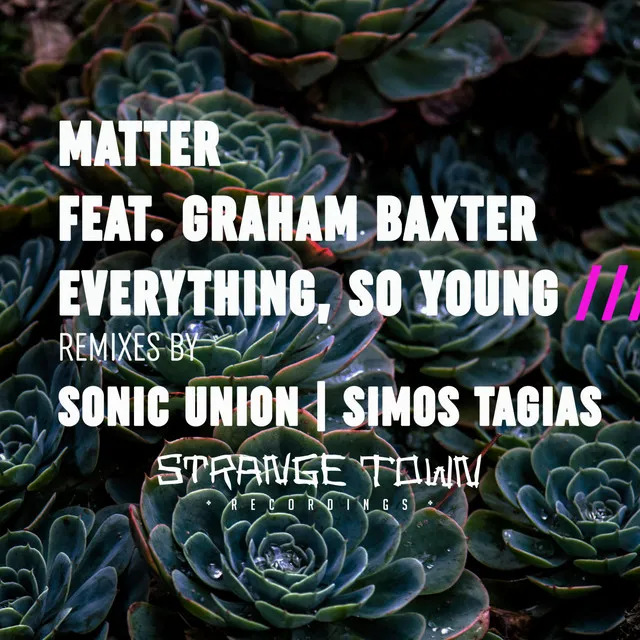 Everything, So Young - Sonic Union Remix