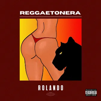 Reggaetonera by Rolando