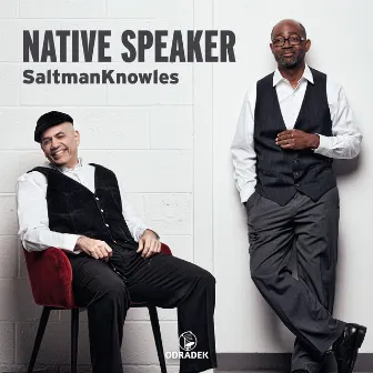 Native Speaker by Mark Saltman