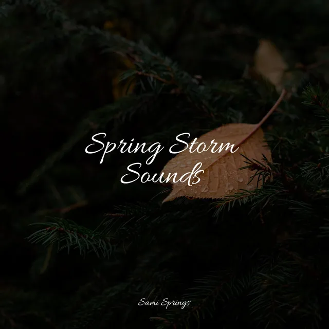 Spring Storm Sounds