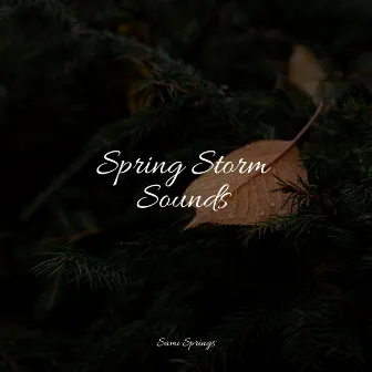 Spring Storm Sounds by Water Soundscapes