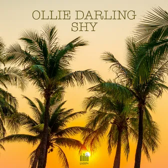 Shy by Ollie Darling