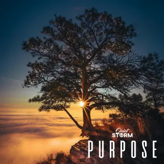 Purpose by Quiet Storm