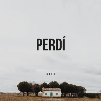 Perdí by Alej