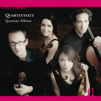 Quartettsatz by Quatuor Alfama