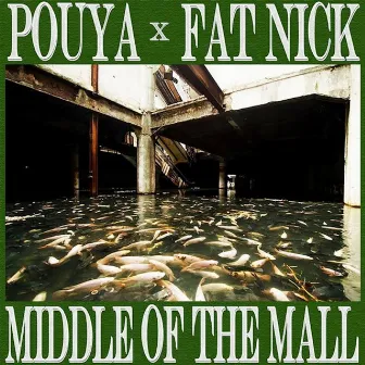 Middle of the Mall by Fat Nick