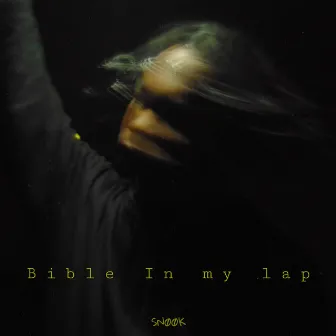 Bible in My Lap by Snook