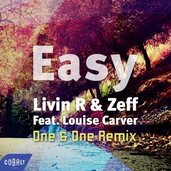 Easy (One & One Remix) by Zeff