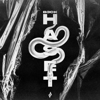 HASET by B3ck