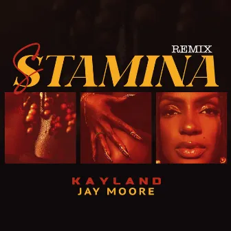 Stamina (Remix) by Kayland