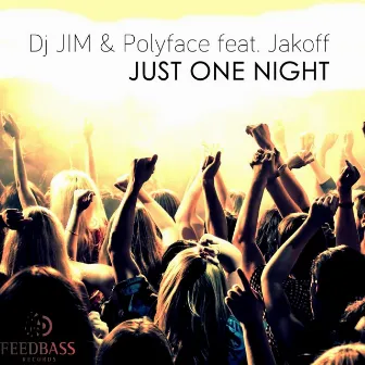 Just One Night by DJ Jim (RU)