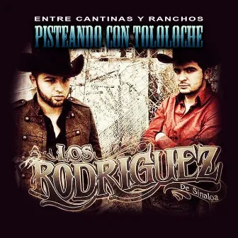 Pisteando Con Tololoche by Los Rodriguez De Sinaloa