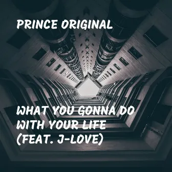 What You Gonna Do With Your Life by Prince Original