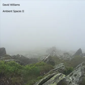 Ambient Spaces, Vol. II by David Williams