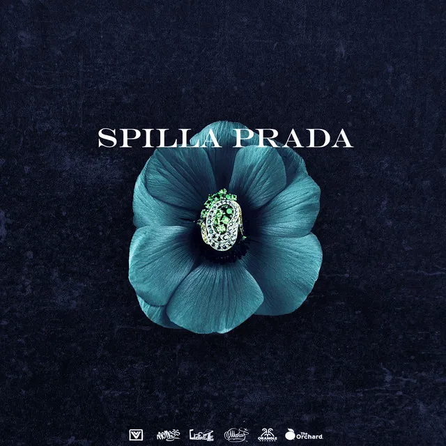 SPILLA PRADA