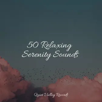 50 Relaxing Serenity Sounds by Unknown Artist