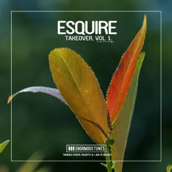 eSQUIRE Takeover, Vol. 1 by Lika Morgan