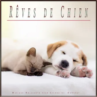 Rêves de Chien: Musique Relaxante pour Chiens qui Dorment by Musique pour L'anxiété des Chiens