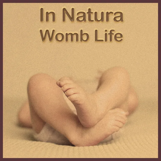 Womb Life