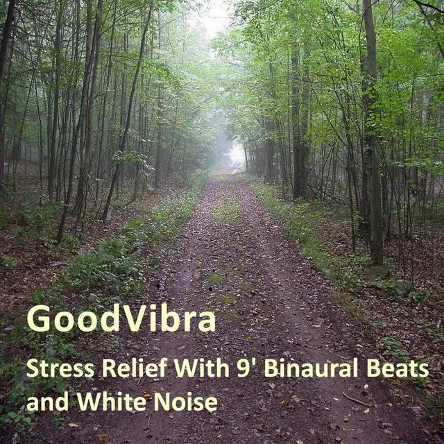 Stress Relief With 9' Binaural Beats and White Noise