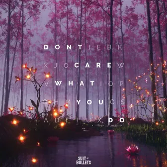 Don't Care What You Do by Alyssa Robi