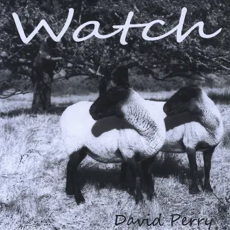 Watch by David Perry