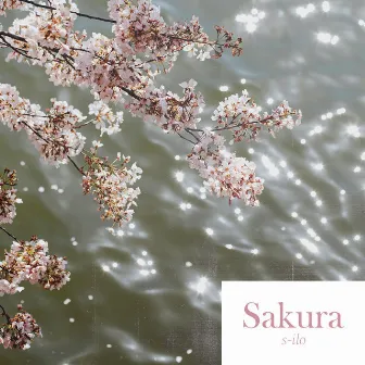 Sakura by S-ilo