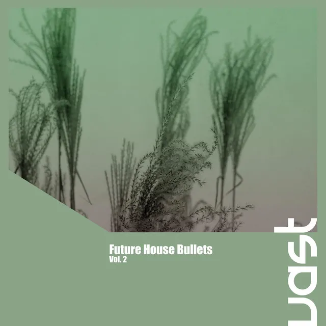 Future House Bullets, Vol. 2