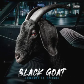 Black Goat by Lowdawg