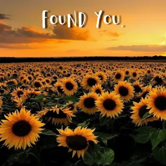 Found You. by Holloway