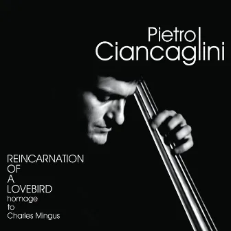 Reincarnation of a Lovebird (Homage to Charles Mingus) by Pietro Ciancaglini