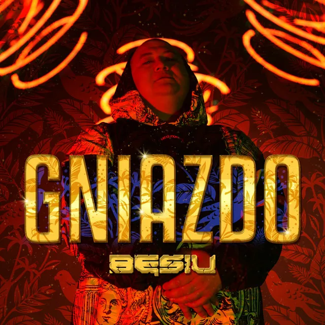 Gniazdo