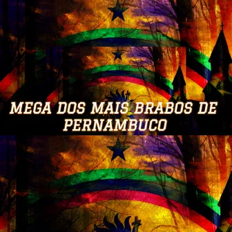 Mega dos Mais Brabos de Pernambuco by Unknown Artist