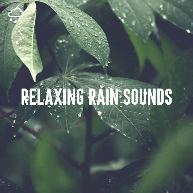 Relaxing Rain Sounds